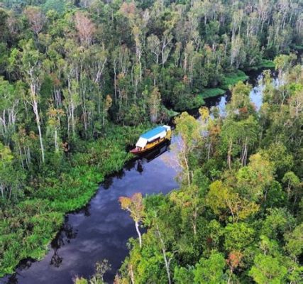 ¡Sumérgete en la Historia y la Belleza Natural del Taman Nasional Tanjung Puting! Un Oasis de Biodiversidad en el Corazón de Borneo