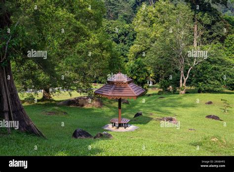 ¡Sumérgete en la historia y la naturaleza exuberante del Jardín Botánico de Pulau Pinang!