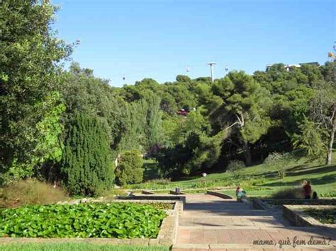  El Jardín Botánico de Mashhad: Un Oasis Verde en la Ciudad Santa