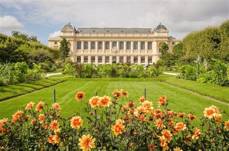  El Jardin des Plantes: Un Oasis Botánico con Historia y Curiosidades en el Corazón de París