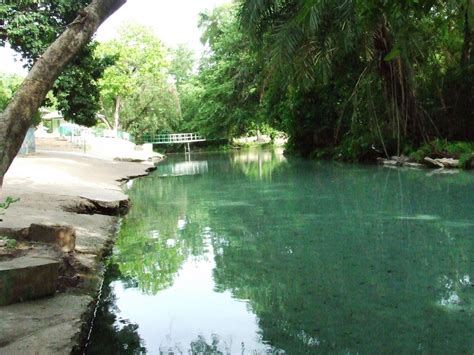  El Parque Nacional Yankari: Un Refugio de Fauna Salvaje en el Corazón de Nigeria